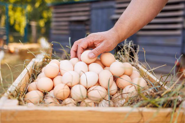 fresh farm eggs